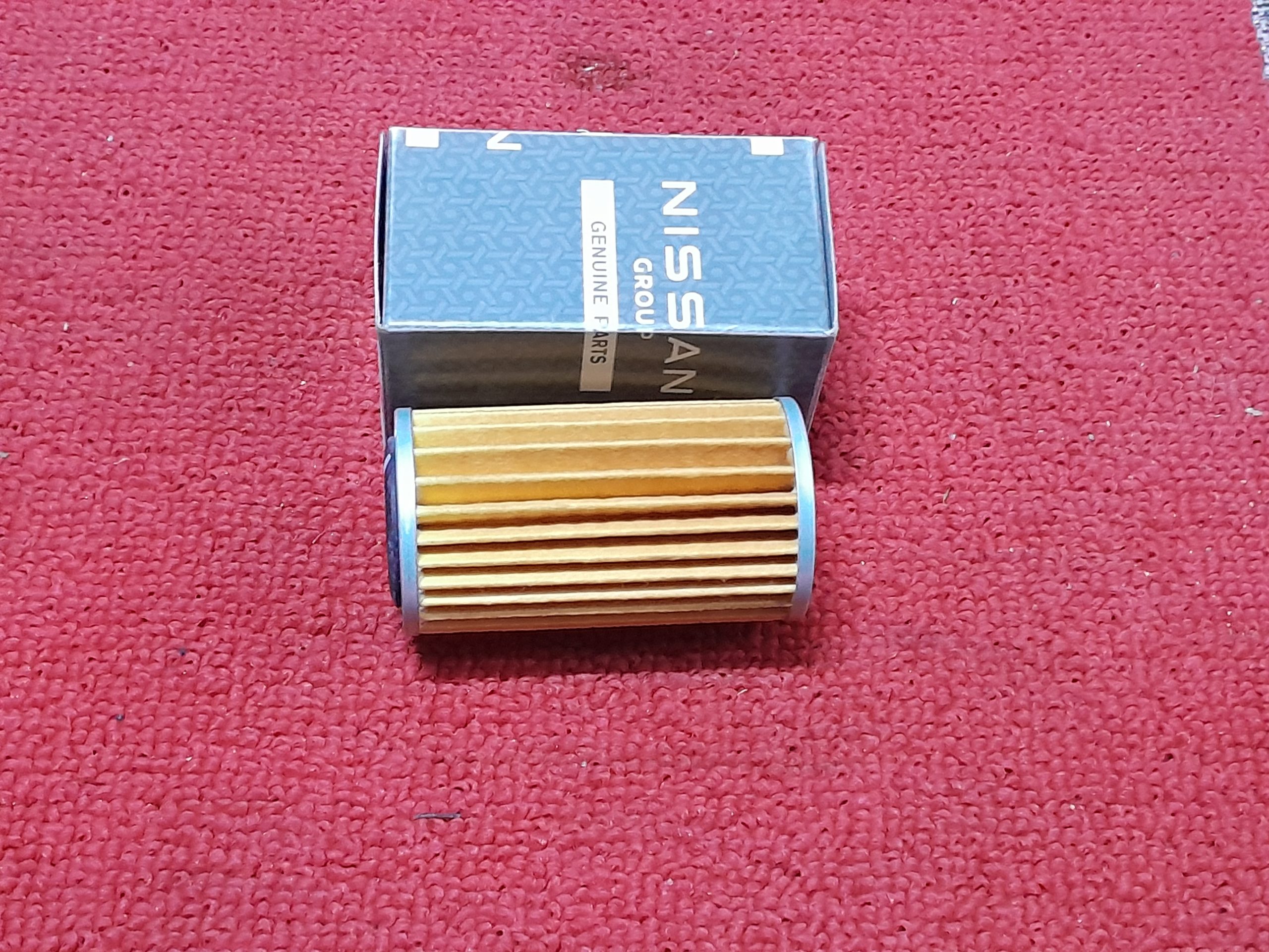 Filter ASSY Nissan